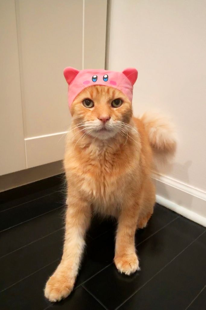 kirby-cat-hat-urban-outfitters.jpg