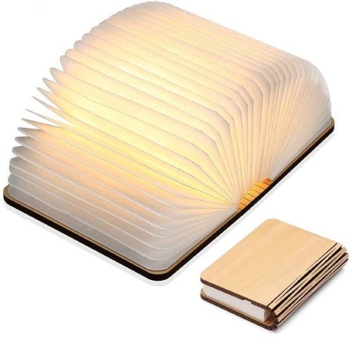 reading-light-book-lover-gift.jpg